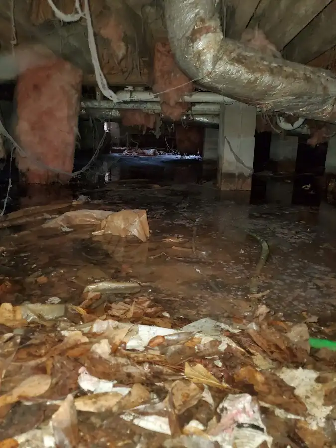 Crawl space flood assessment for Leak Detection & Repair in Milton