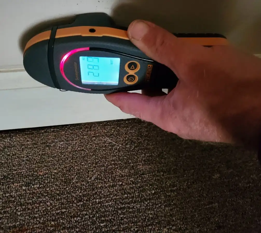 Moisture detection at baseboard during Mold Inspection & Testing in Milton